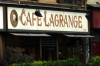 to_caffe_lagrange_030328