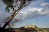 certosa1070_44