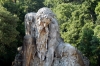appennino_demidoff1