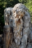 appennino_demidoff2
