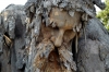 appennino_demidoff5