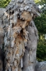 appennino_demidoff6