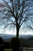 arcetri3_030324
