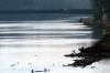arno_varlungo3_030223