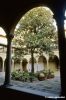 badia_fiesolana329_44