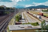 campo_marte1