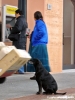 cane_piazza_bartali4