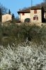 cascine_del_riccio3