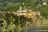 certosa_galluzzo4_050717