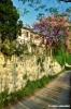 fiesole63_09
