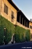fiesole_via_da_maiano297_45