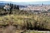 firenze19