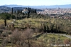 firenze21