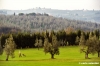 firenze228_38