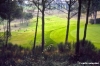 firenze228_44