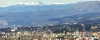 firenze24