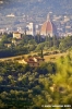 firenze_da_giogoli06