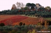 firenze_sud01