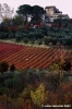 firenze_sud02