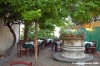 giogoli_rossi42