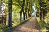 giogoli_villa_martelli07