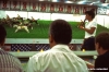 lunapark317_26