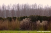 nave_a_rovezzano2