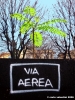 piazza_bartali01_061218