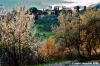 primavera_rovezzano2