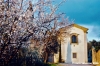 primavera_rovezzano4