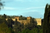 rocca_tedalda3_040426