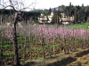 rovezzano02