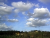 rovezzano04