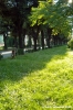 san_salvi02