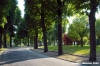 san_salvi04