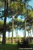 san_salvi09