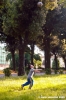 san_salvi28