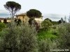settignano01