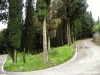 settignano03
