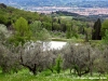 settignano06
