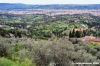 settignano07