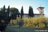 sfacciata_galluzzo1