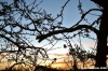 tramonto_susino1
