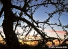 tramonto_susino2