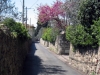 via_del_guarlone2_040422
