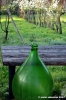 via_delle_campora04