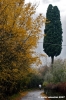 via_delle_campora12