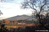 via_delle_campora15