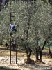 via_piazzola03