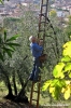 via_piazzola05